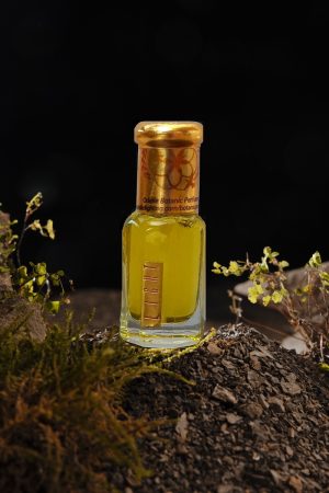 Light O3 oil base perfume